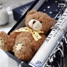 Name a Star Bear Gift Set